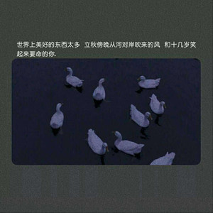 在线玩王者荣耀
