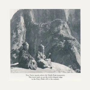 在线玩王者荣耀
